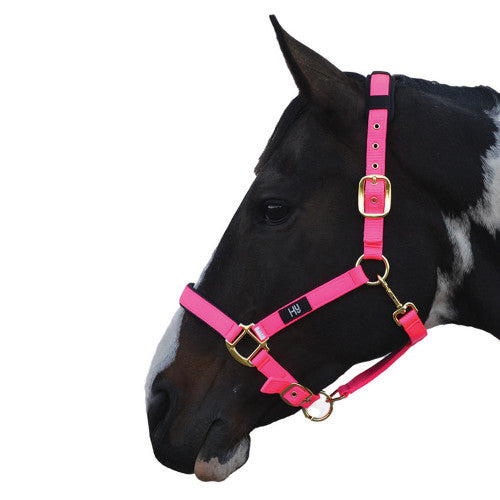 Hy Equestrian Deluxe Padded Head Collar - Hot Pink