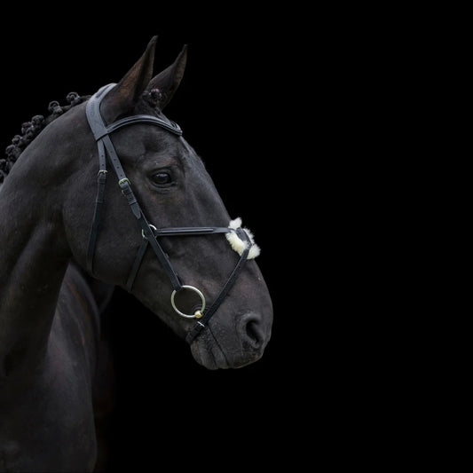 Cameo Anatomic Grackle Bridle with SureGrip reins