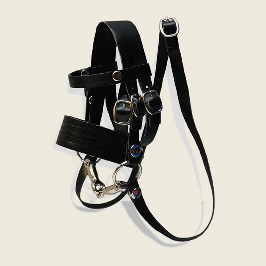 Crafty Ponies Bridle