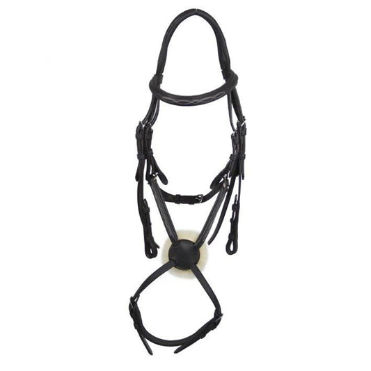 Galway grackle bridle