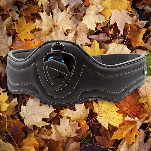 E Quick ES Jumping Girth - Black