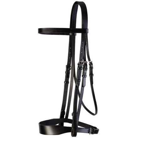 Cameo Hunt Bridle 2 Browbands