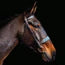 Cameo Hunt Bridle 2 Browbands
