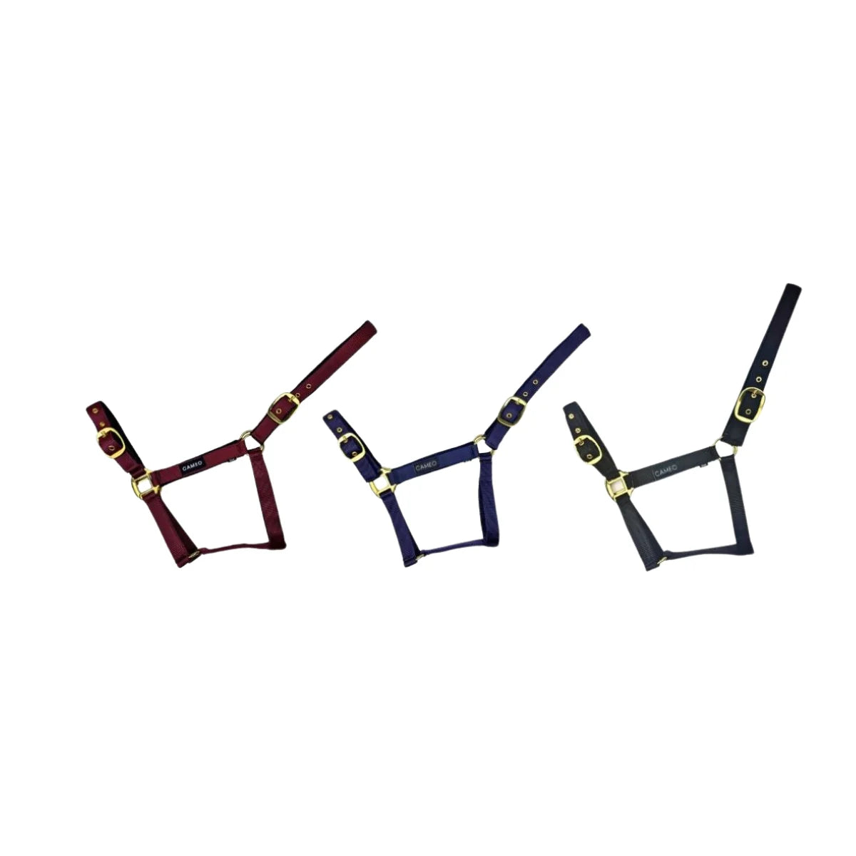 Cameo Equine Padded Headcollar Cameo Equine Padded Headcollar