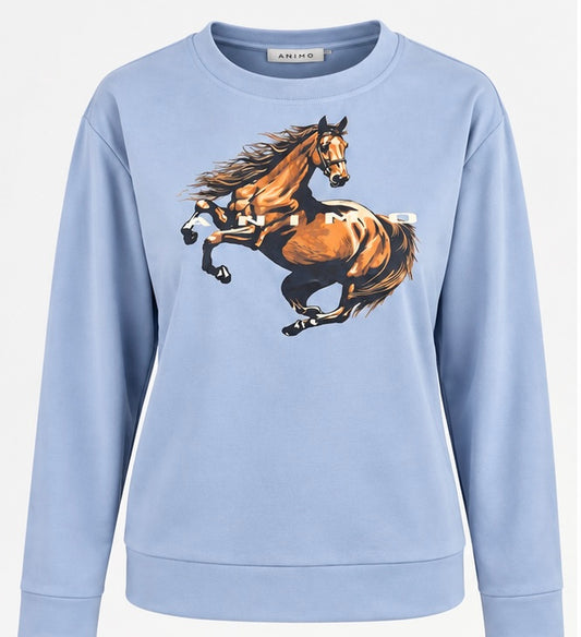Animo Lerica Ladies Sweatshirt – Sky Blue