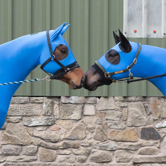 The original Horzehood stretch hood