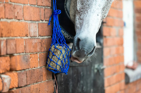 Equilibrium Calmmunch