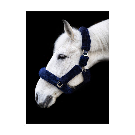 Cameo deluxe fluffy headcollar