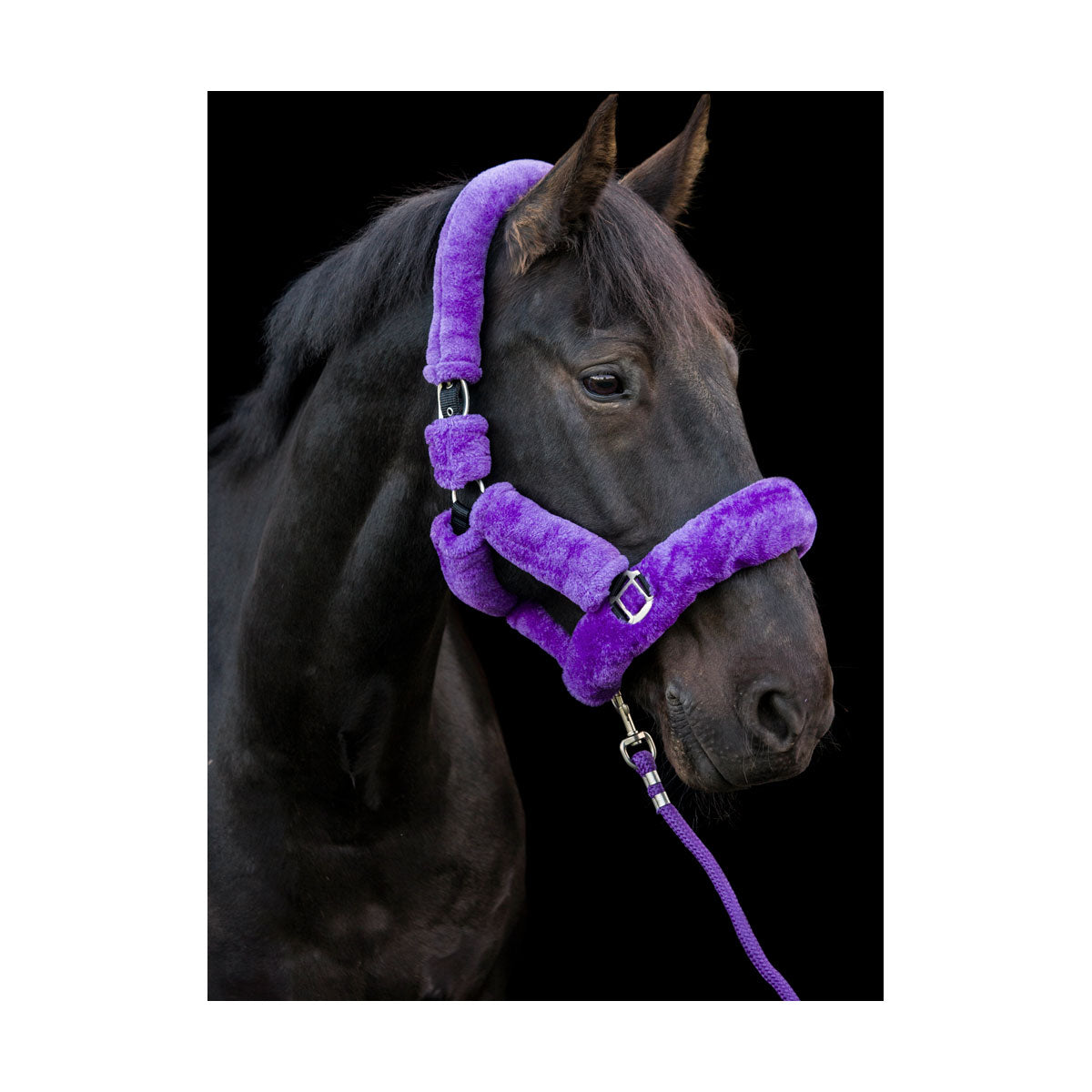 Cameo deluxe fluffy headcollar