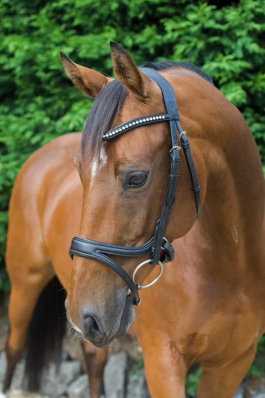 EcoRider Ecosoft Acclaim Bridle