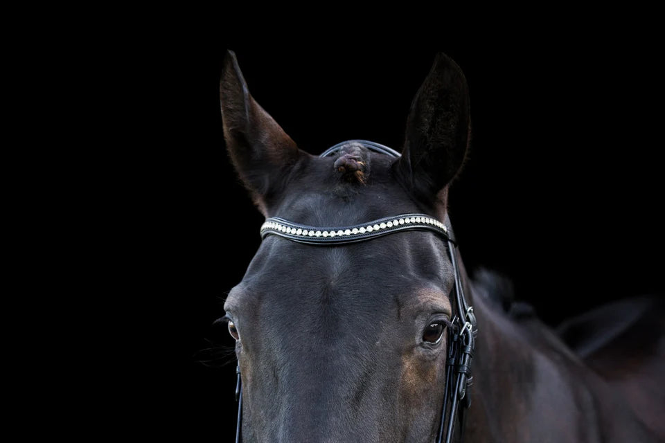 EcoRider Ecosoft Acclaim Bridle