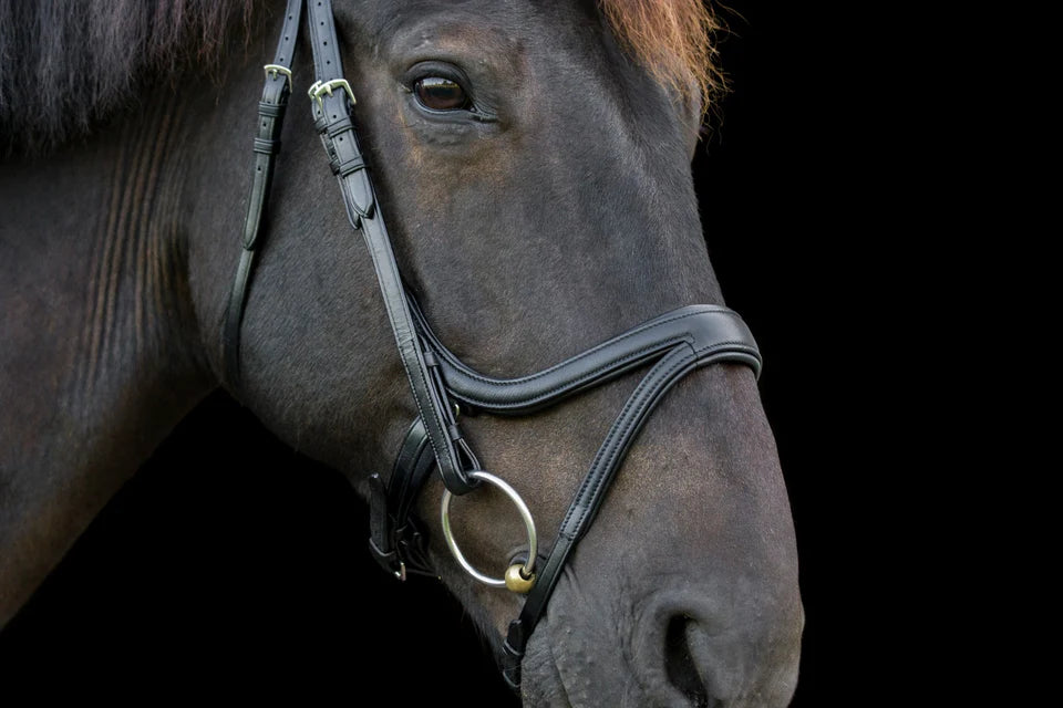 EcoRider Ecosoft Acclaim Bridle