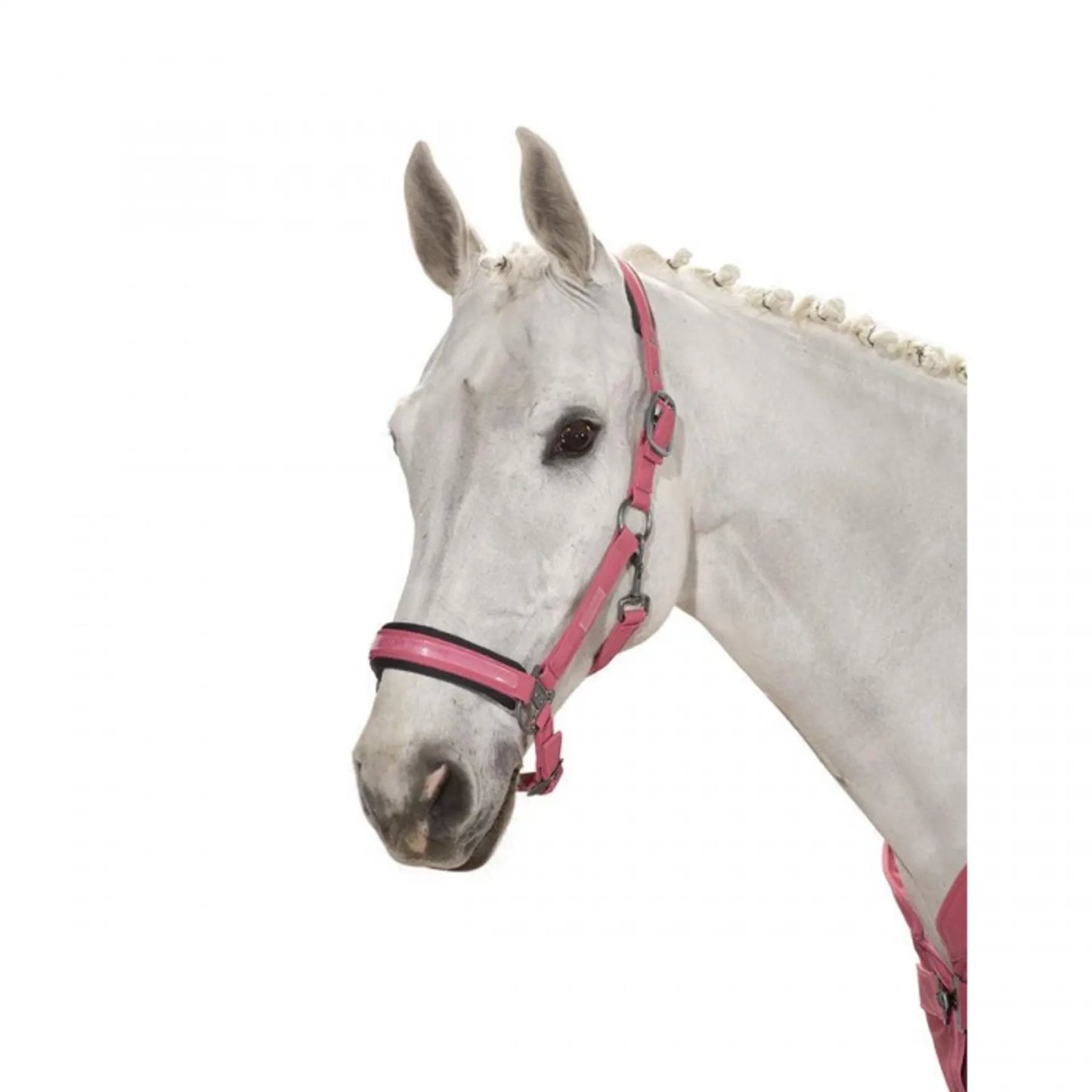 Eskadron Classic Sports Doublepin Softshell Headcollar