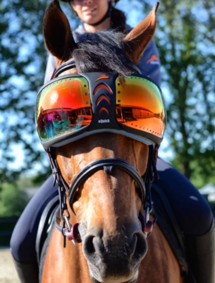 EQuick Evysor Equine Goggles EQuick Evysor Equine Goggles