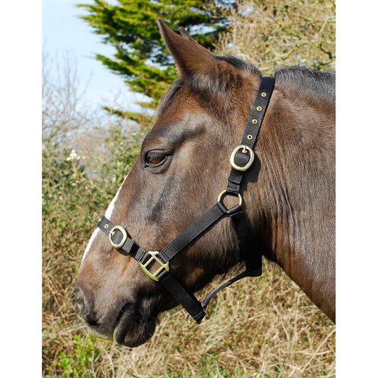 Rhinegold Nylon Headcollar