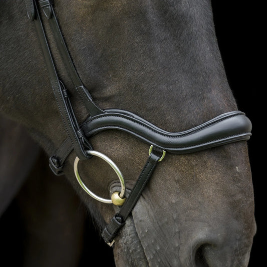 EcoRider Ecosoft Finesse Bridle