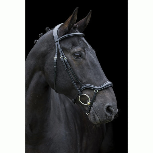EcoRider Ecosoft Finesse Bridle