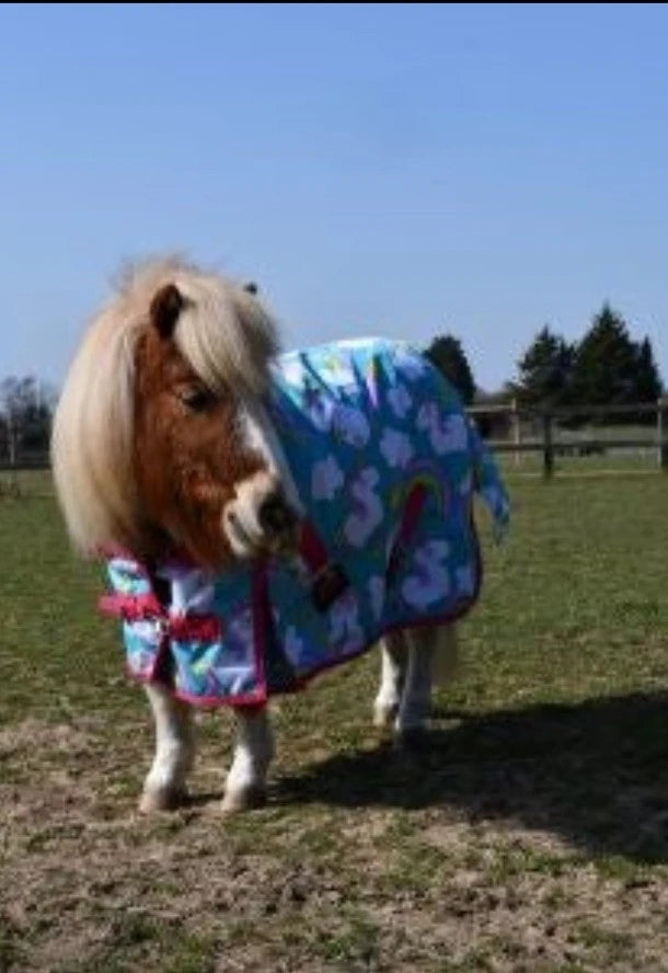 Rhinegold Unicorn Mini Torrent Outdoor Rug