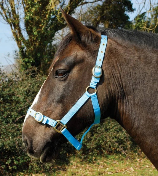 Rhinegold Nylon Headcollar