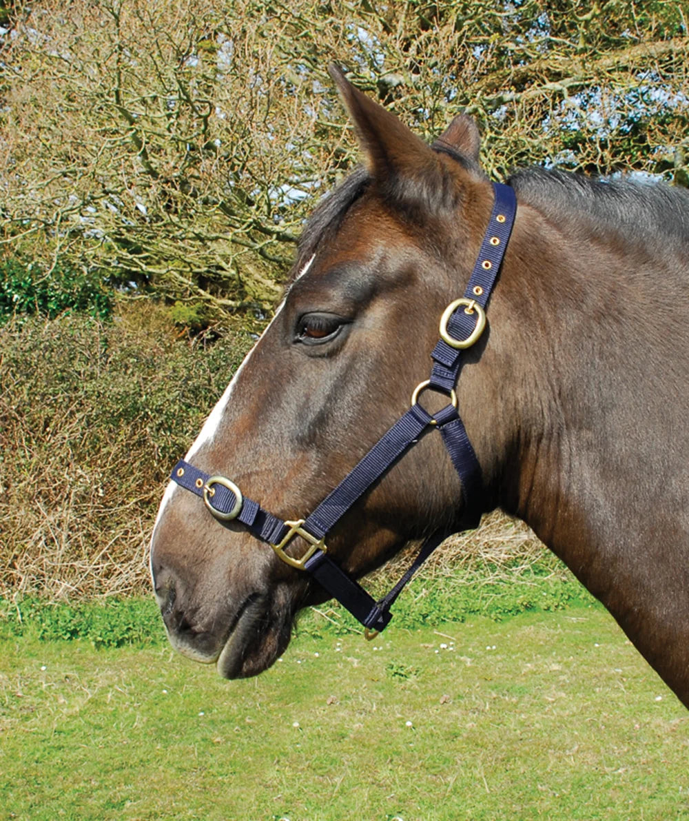 Rhinegold Nylon Headcollar