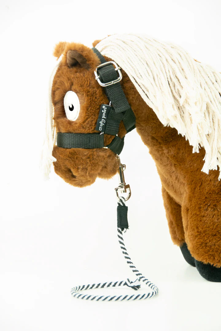 Crafty Ponies Lead Rope