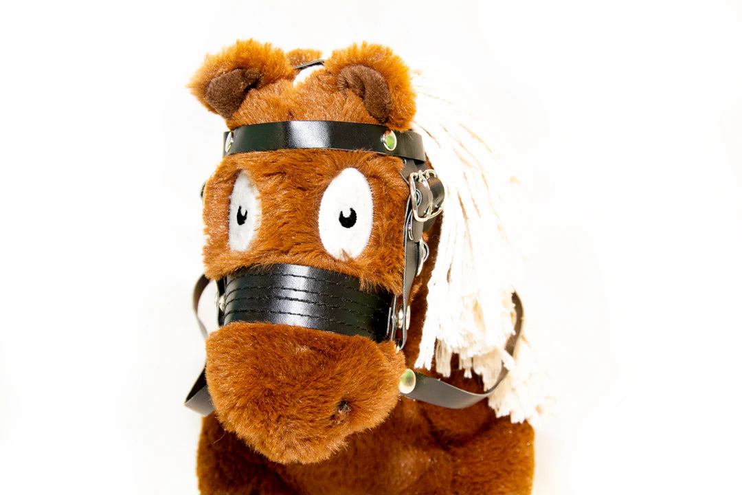 Crafty Ponies Bridle