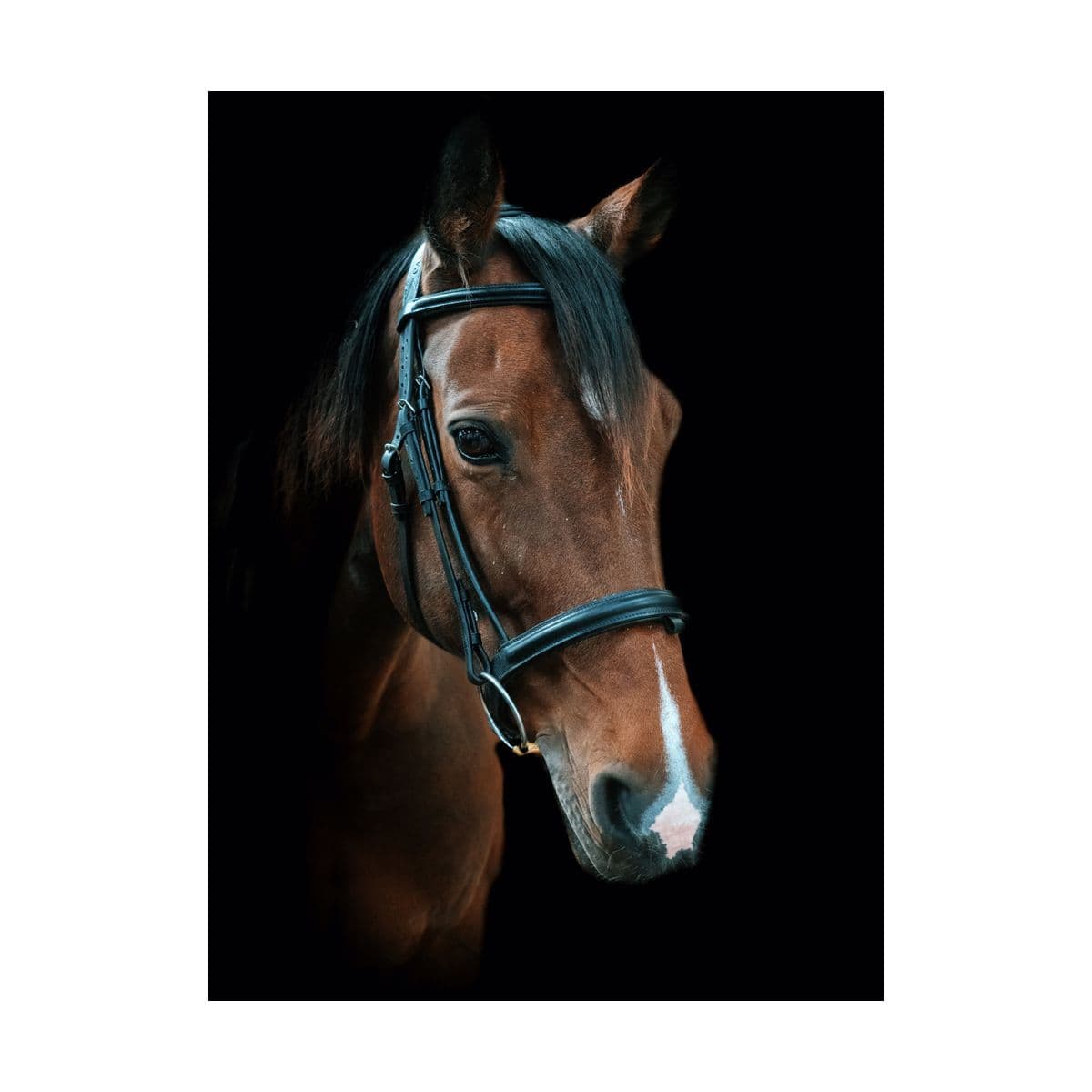 Cameo Comfort Bridle with Sure Grip Reins