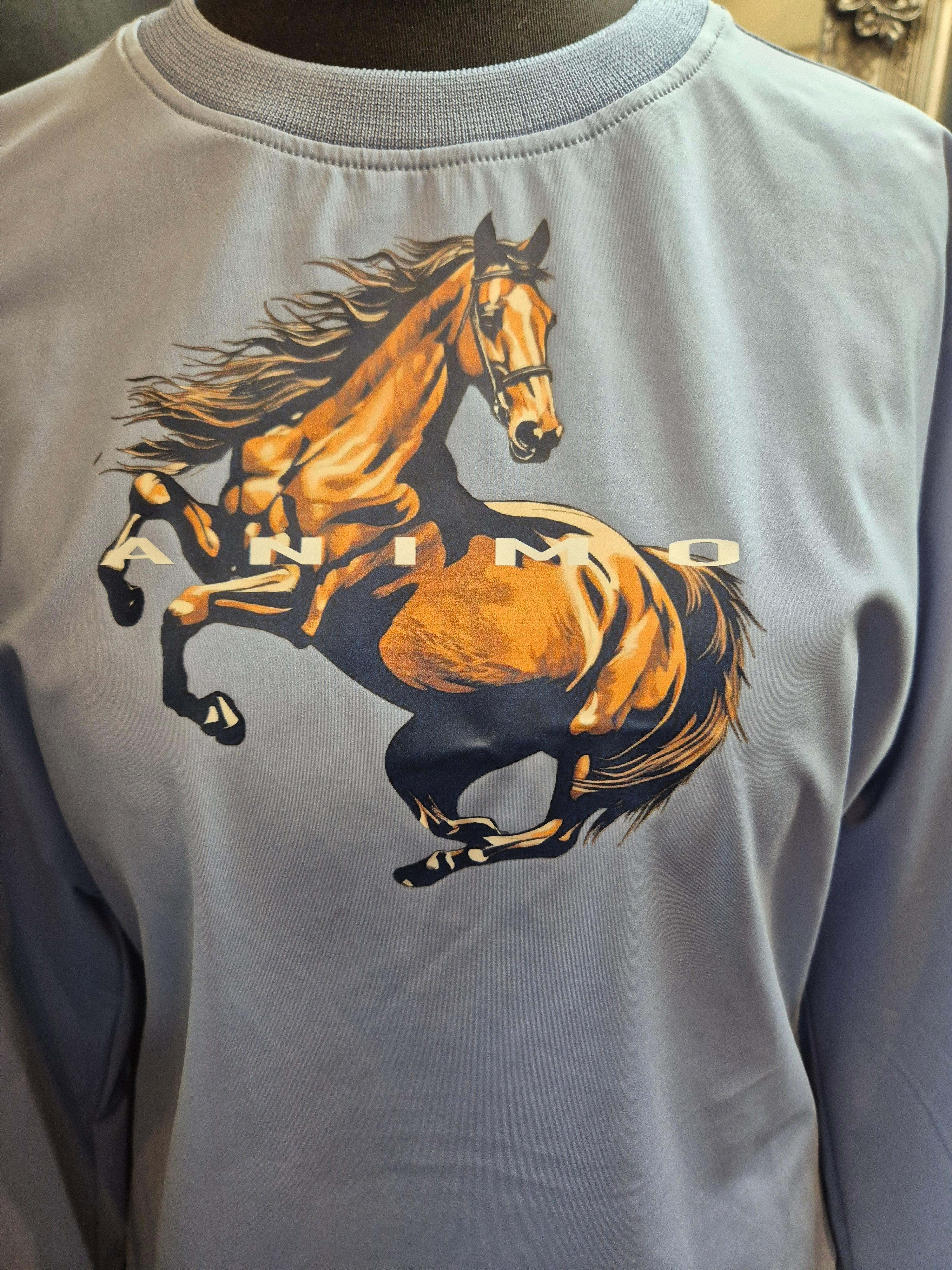 Animo Italia - Lerica Long Sleeve Jumper Sky Blue