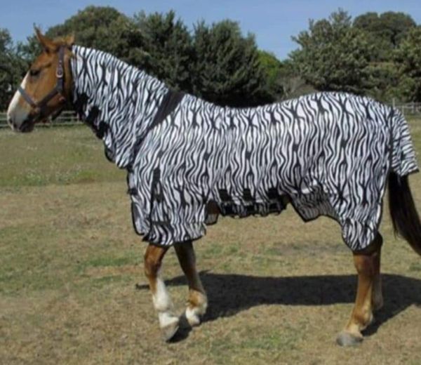 Rhinegold Savanna Full Neck Fly Rug in Zebra Print