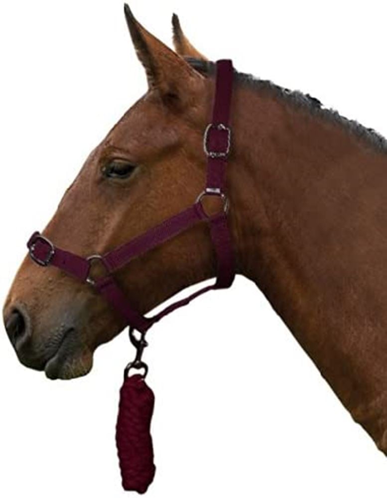 Gallop Headcollar & Leadrope Set