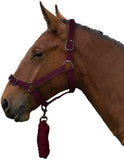 Gallop Headcollar & Leadrope Set