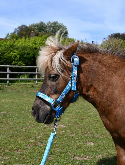 Rhinegold Unicorn Headcollar and Rope Set