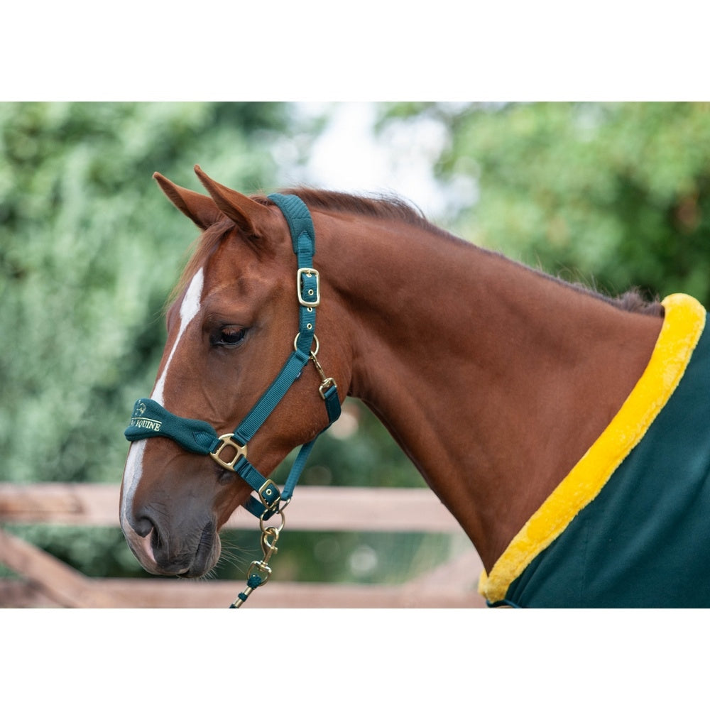 Cameo Performance Elite Show Headcollar and Rope - Green/Gold