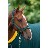 Cameo Performance Elite Show Headcollar and Rope - Green/Gold