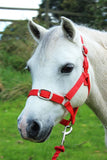 Gallop Headcollar & Leadrope Set