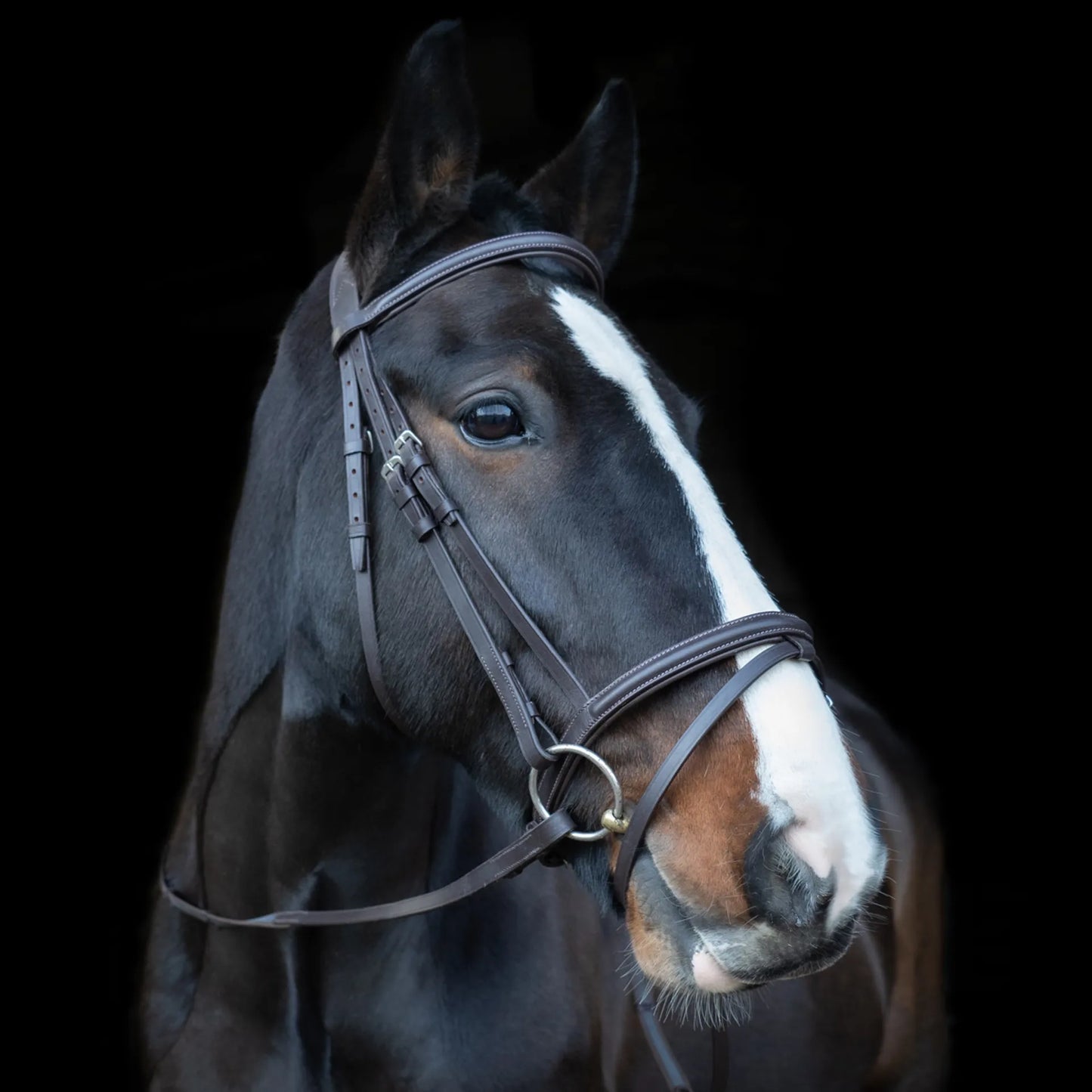 Cameo Comfort Bridle with Sure Grip Reins