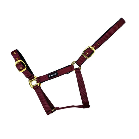 Cameo Equine Padded Headcollar