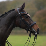 Horzehoods soundproof competition secura strap ears