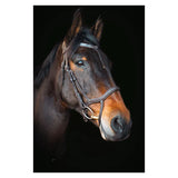 Cameo Performance Anatomic Bridle With Flexi Bio Reins