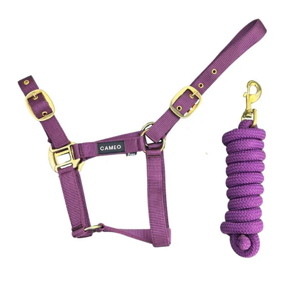 Cameo Supreme Headcollar with matching Rope