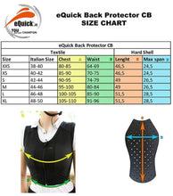 Load image into Gallery viewer, Back Protection Vest, Back Protector
