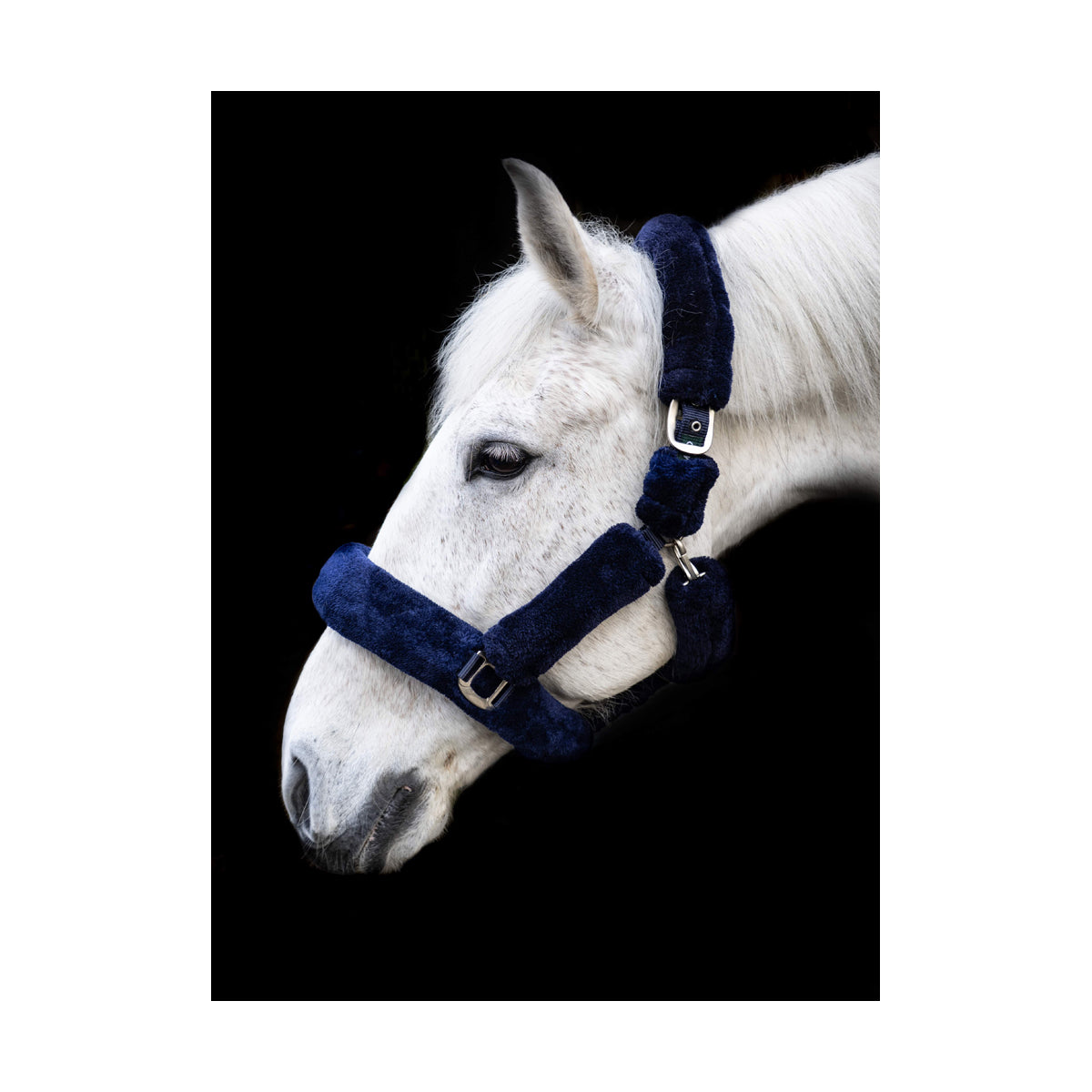 Cameo deluxe fluffy headcollar B.E. boutique