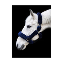 Load image into Gallery viewer, Cameo deluxe fluffy headcollar
