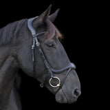 EcoRider Ecosoft Enigma Bridle