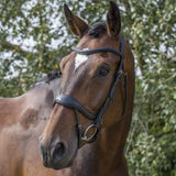 EcoRider Ecosoft Enigma Bridle