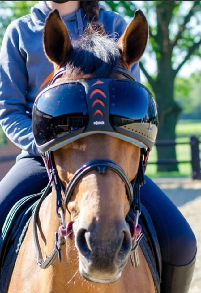 EQuick Evysor Equine Goggles