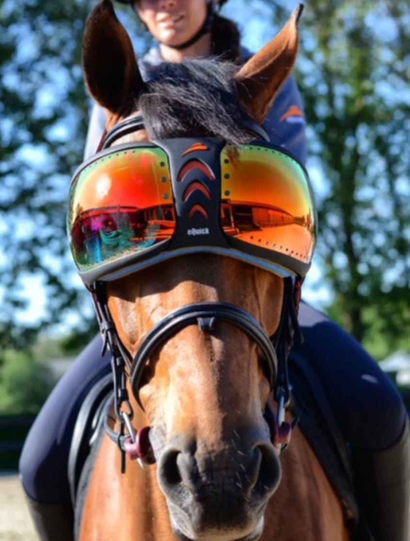 EQuick Evysor Equine Goggles