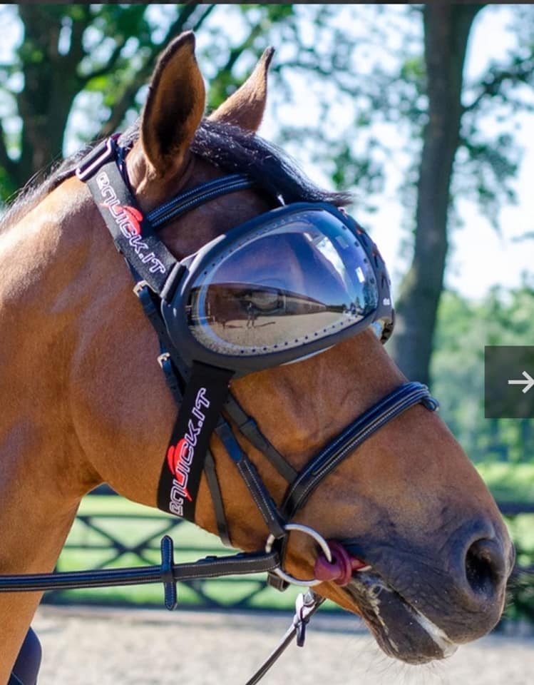 EQuick Evysor Equine Goggles