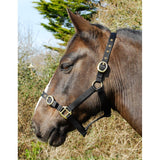 Rhinegold Nylon Headcollar - Black