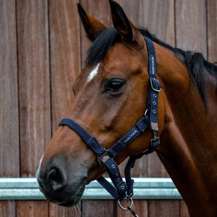 Harcour Fiction Rope Head Collar